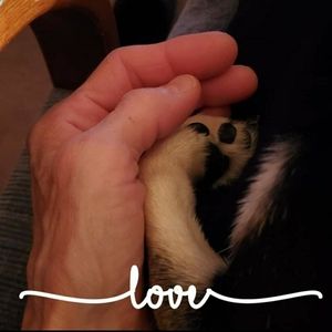 Meet your Posher, Sandy